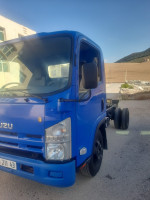 camion-isuzu-2011-ferdjioua-mila-algerie