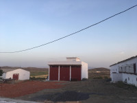 hangar-vente-bordj-bou-arreridj-medjana-algerie