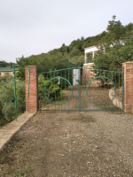 hangar-location-bejaia-algerie