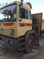 camion-renault-location-a-grue-tizi-ouzou-algerie