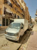 camionnette-faw-ca-1024-2014-conteneur-oran-algerie