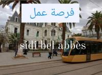 commercial-marketing-عرض-عمل-حر-sidi-bel-abbes-algerie