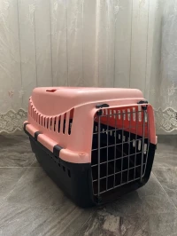 Cage de transport pour chats