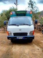 camion-camee-hyundai-hd65-2007-djemaa-ouled-ain-defla-algerie