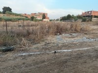 أرض-بيع-بومرداس-خميس-الخشنة-الجزائر