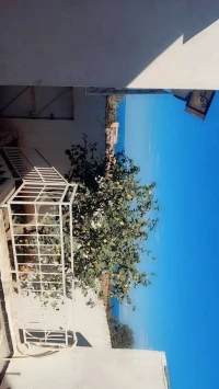 Vente Villa Tipaza Bou ismail