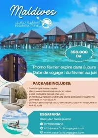 VOYAGE ORGANISE