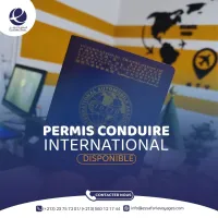 Permis de conduire International 10 ans