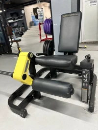 Leg extension technogym 