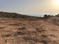 Vente Terrain Agricole Oran Ain el kerma