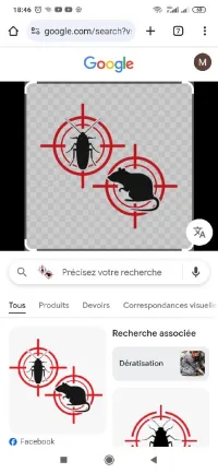 Zéro rats  Zéro cafards 