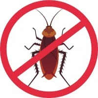 Lutte anti cafards 