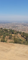 terrain-vente-blida-chrea-algerie