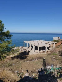 Vente Terrain Tipaza Tipaza