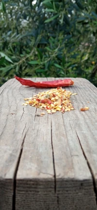 Graines de cayenne بذور فلفل الڨناوة 