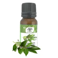 Huile Essentielle de Laurier Noble Pure et 100% naturel Sans Additifs 10ml
