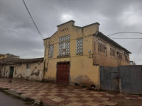 hangar-vente-ain-temouchent-tolba-algerie