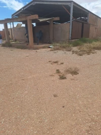 Vente Terrain Agricole Tiaret Ain kermes