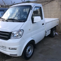 DFSK Simple cabine 2024 