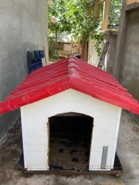 Niche de chien 