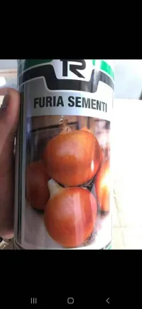 بذور زراعية