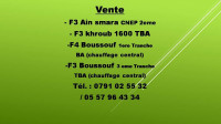 appartement-vente-f4-constantine-algerie