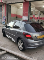 citadine-peugeot-207-2010-maoklane-setif-algerie