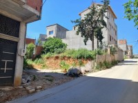 أرض-بيع-الجزائر-بئر-توتة