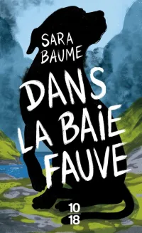 Dans la baie fauve / Livre, Roman, Sara Baume