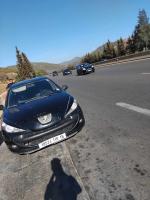 voitures-peugeot-206-plus-2010-ain-defla-algerie