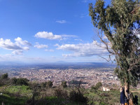 terrain-vente-blida-chrea-algerie