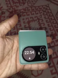 Ace Buzz 6 flip