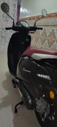 VMS Panaria 2023
