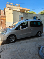 voitures-peugeot-partner-2009-tepee-oued-endja-mila-algerie