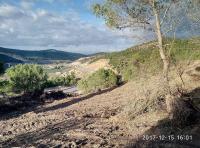 terrain-vente-tipaza-menaceur-algerie