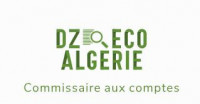 comptabilite-economie-commissaire-aux-comptes-agree-expertise-comptable-et-financiere-blida-algerie