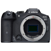 cameras-canon-eos-r7-hybride-mirroless-325mp-4k-video-boitier-nu-only-body-kouba-alger-algeria