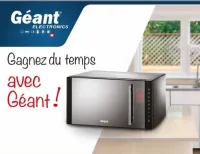 MICRO-ONDE GEANT 23 LITRES 1000 W