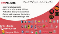 reparation-auto-diagnostic-scanner-avec-deplacement-bougara-blida-algerie