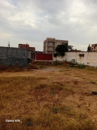 Vente Terrain Tipaza Kolea