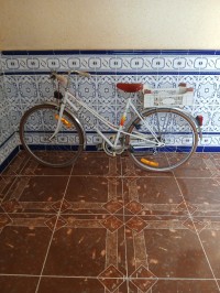 bikes-velo-damme-peugeot-sidi-okba-biskra-algeria