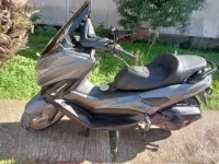 Okinio Max Ts 200 2024