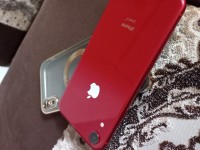 smartphones-iphone-xr-tiaret-algeria