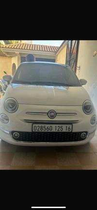 سيارات-fiat-500-2025-شراقة-الجزائر