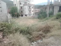 Vente Terrain Boumerdès Beni amrane