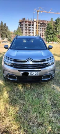 Citroen C5 aircross 2022 Schine