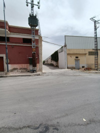 hangar-location-setif-algerie