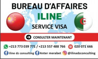 emploi-a-l-etranger-cherche-agent-de-saisie-ou-billetterie-bir-mourad-rais-alger-algerie