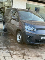 voitures-fiat-professional-doblo-2023-ain-defla-algerie