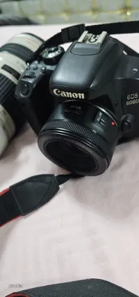 العلمة